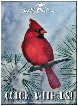 original image of a red cardinal bird on a snow covered pine branch with a text overlay that says "Color With Us"